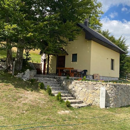 Lasica Žabljak Exteriör bild